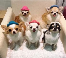 imtoken币莫名被转走