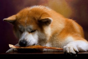 imtoken网页版