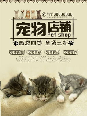 Web钱包app下载