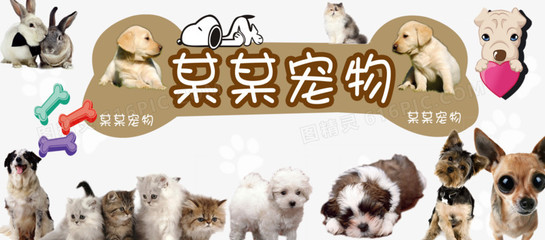 小狐狸钱包手机版本