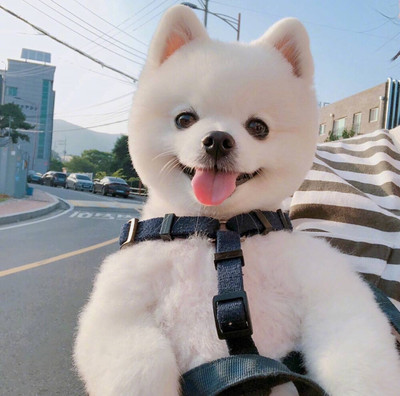 下载okpay钱包下载
