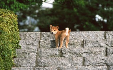 TRXapp钱包下载钱包