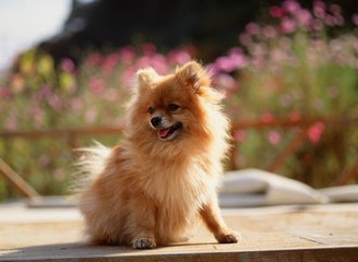 imtoken最新版本下载